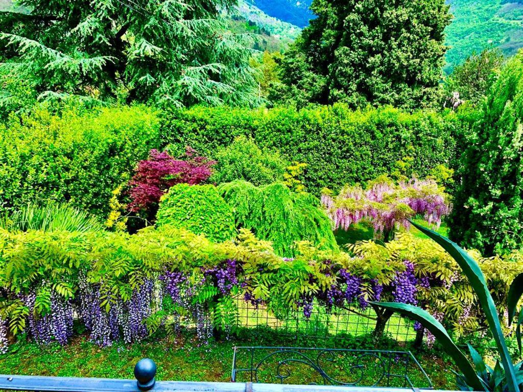 Il Piccolo Paradiso Seravezza Extérieur photo