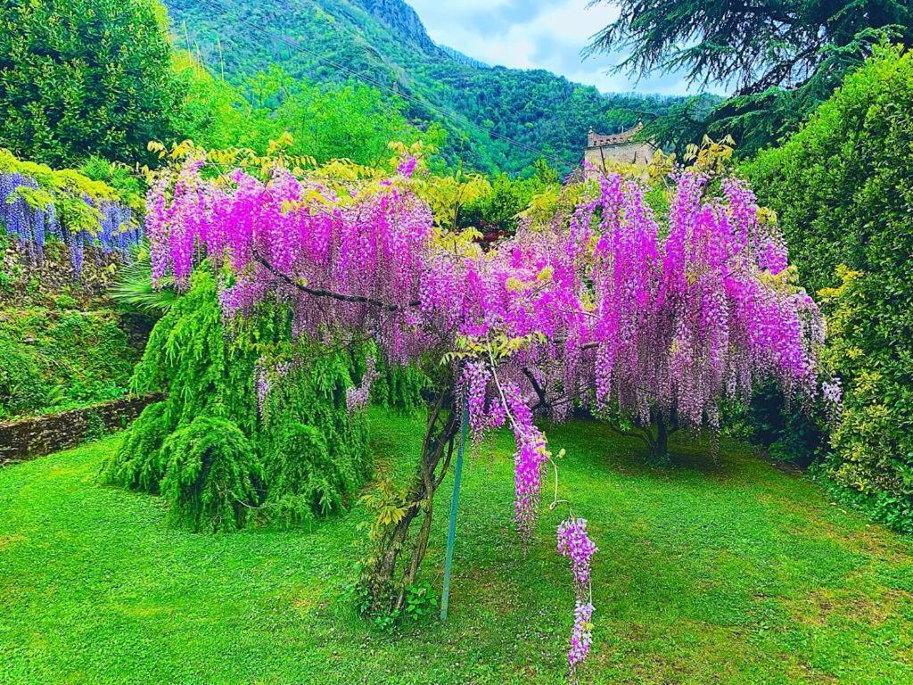 Il Piccolo Paradiso Seravezza Extérieur photo